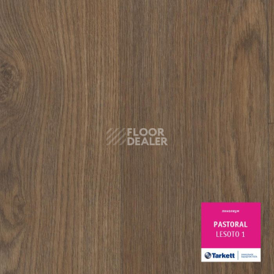 Линолеум Tarkett Pastoral LESOTO 1 фото 1 | FLOORDEALER